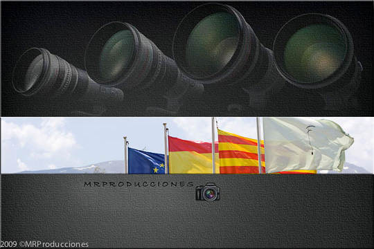 CPN_FONTANALS_000